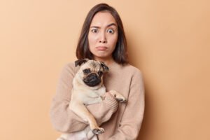 Creche para Cachorros: Como Funciona e Por Que Pode Ser a Melhor Opção para Seu Pet