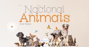 Mais do que carinho, é responsabilidade diária